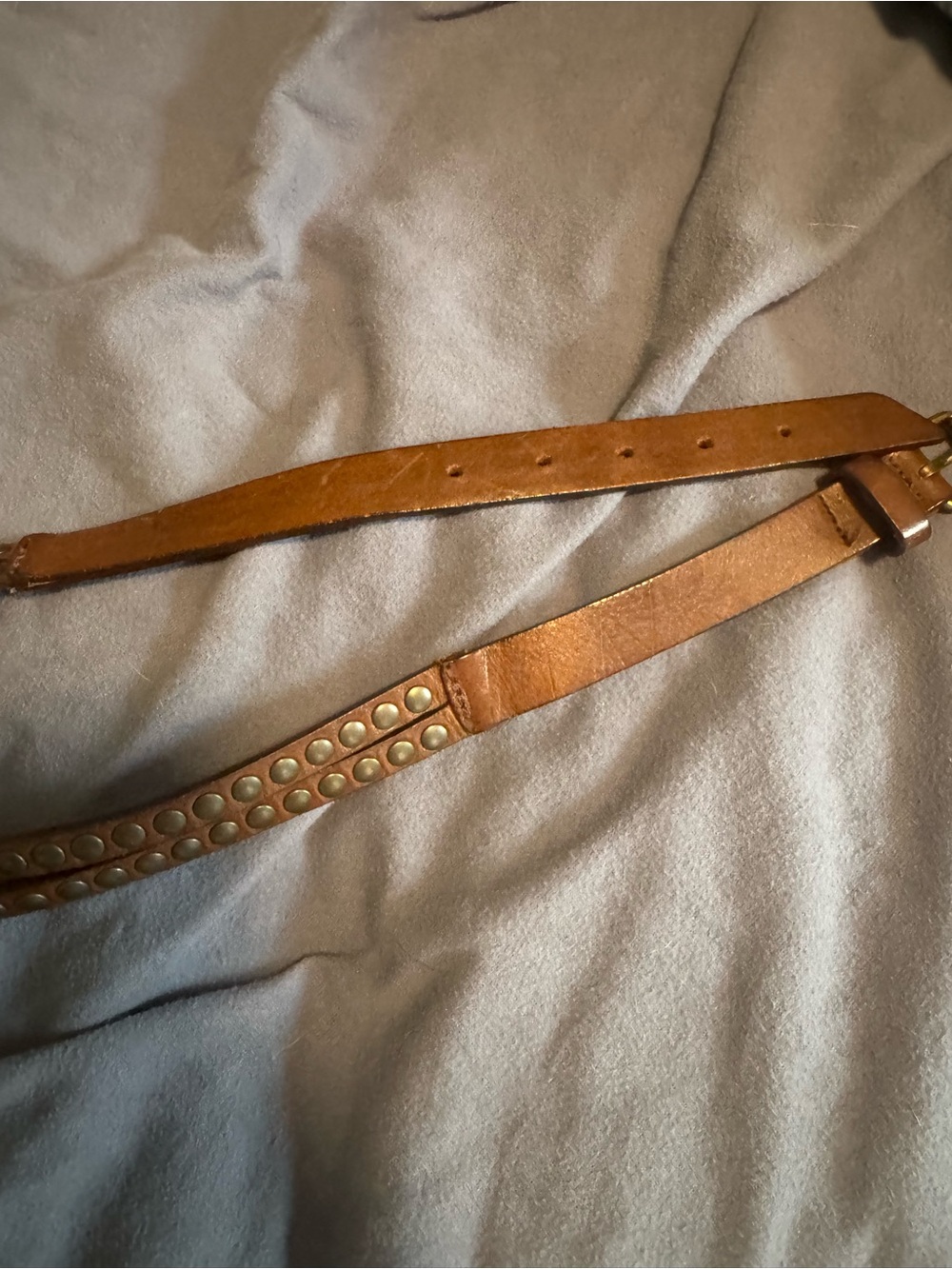 Garnet Hill Studded Leather Belt in Brown